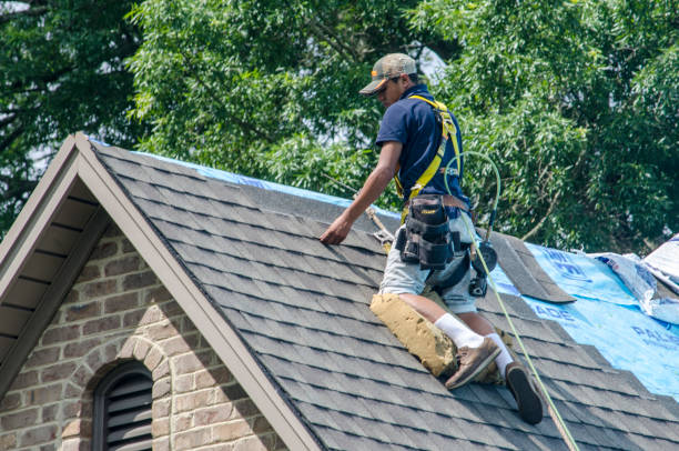 Best New Roof Installation  in King George, VA